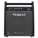 Roland PM100 Personal V-Drums Monitor 