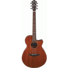 Ibanez AEG220 Natural Low Gloss AEG Acoustic Guitar