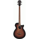 The Ibanez AEGB24E MHS Acoustic Guitar