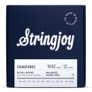 Stringjoy Signatures | 12 String Balanced Super Light Gauge (9-42) Nickel Wound Electric Guitar Strings