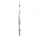Fontaine FBW105 C Flute Silver Plated Body