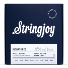 Stringjoy Signatures | 8 String Heavy Bottom Super Light Gauge (9-80) Nickel Wound Electric Guitar Strings