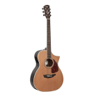 SGW S650OMNS - Orchestra electric/acoustic guitar.