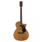 Alvarez AGW75CE Acoustic / Electric Guitar