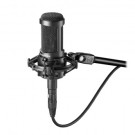 Audio Technica AT2050 Condenser Microphone
