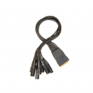 Planet Waves DB25 XLR Male Female Break Out Cable