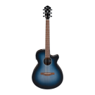 Ibanez AEG50 IBH Acoustic Guitar