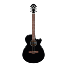Ibanez AEG50 BK Acoustic Guitar