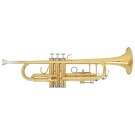 Fontaine FBW404 B flat Trumpet with abs case
