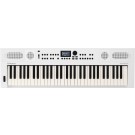 Roland GOKEYS 5 Music Creation Keyboard in White