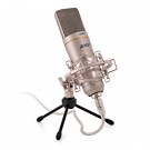 Ashton UM88 Studio USB Microphone for Live Streaming Podcasts etc