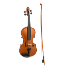 Stentor Harlequin Series 4/4 Full Size Violin in Metallic Bronze