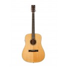 Tasman TA300-E Acoustic Electric Guitar with Case