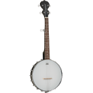 Tanglewood TWBT 5 String Traveller Banjo