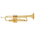 Yamaha - YTR8310ZIII Trumpet