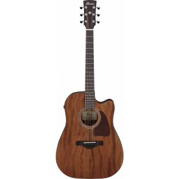 Ibanez AW1040CE Open Pore Natural Acoutic Guitar All Solid