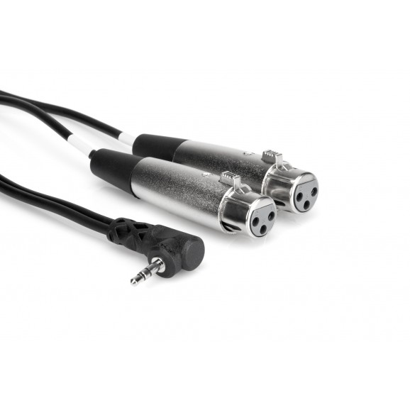 Hosa - CYX-402F - Camcorder Microphone Cable, Dual XLR3F to Right-angle 3.5 mm TRS, 2 ft