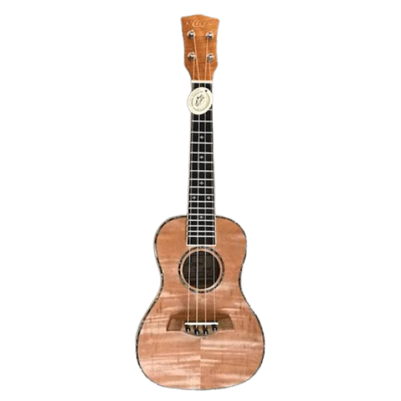 Aiersi SU-504N Concert Ukulele with Bag in Flame Mahogany