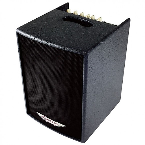Ashdown AA-100B Acoustic Amplifier Combo 100watts