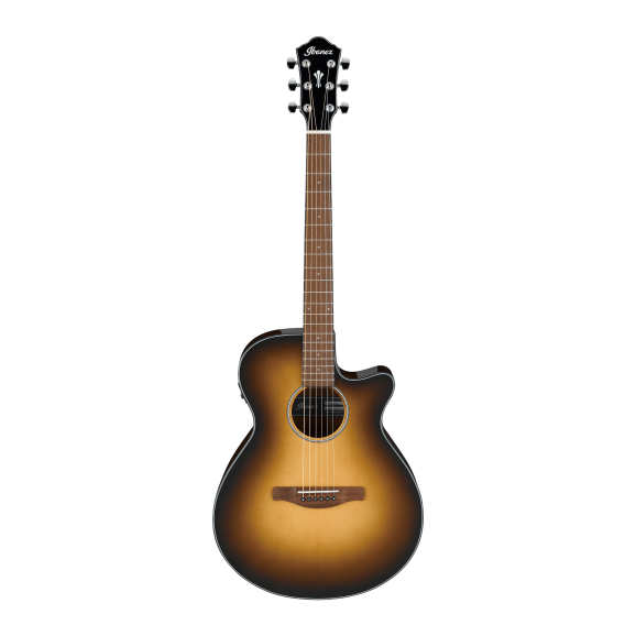 Ibanez AEG50 DHH Acoustic Guitar