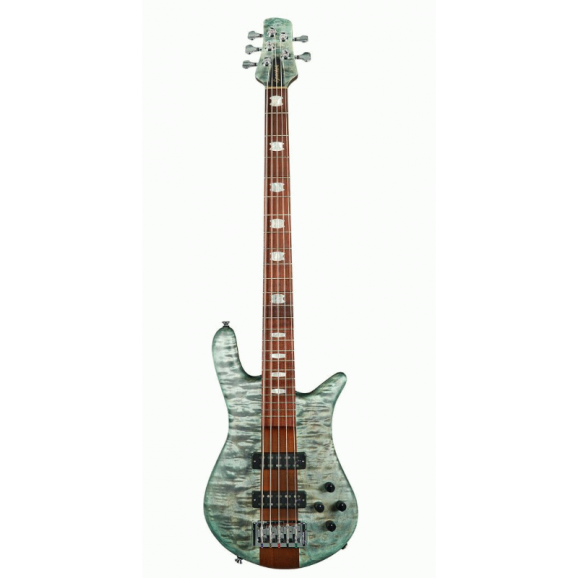 SPECTOR EURO 5 ROASTED TURQUOISE TIDE AGUILAR PUPS