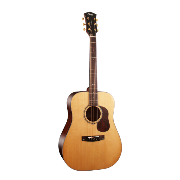 Cort Gold Series D6 Premium Acoustic Guitar