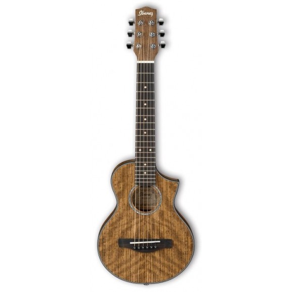 Ibanez EWP14WB Acoustic Guitar / Ukulele