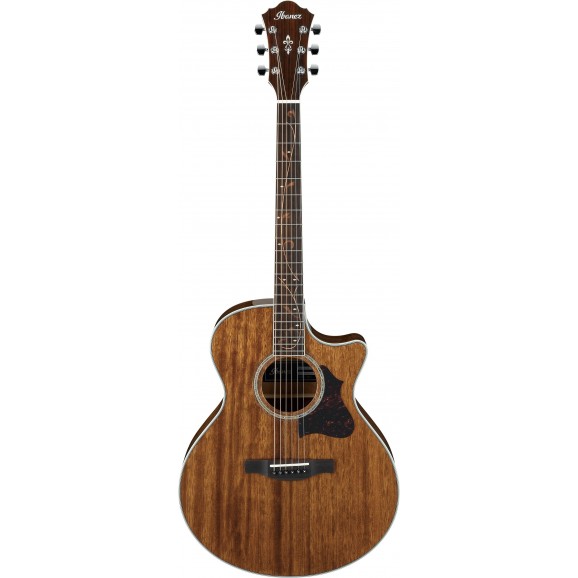 Ibanez AE245NT Acoustic Electric Guitar