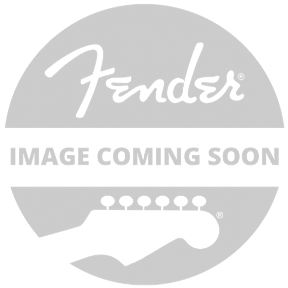Fender (Parts) - American Hard Tail Strat Bridge Assembly, '86-'07, Gold
