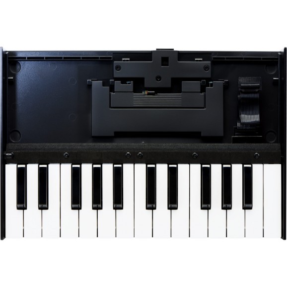 Roland K-25m Keyboard Unit For Roland Boutique