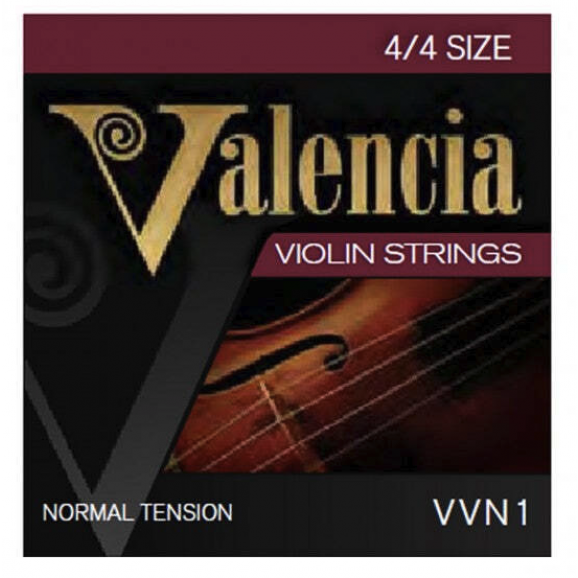 Valencia 4/4 Violin string Set