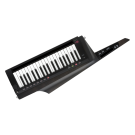 KORG RK-100S 2 Keytar in Black