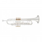 Eastman - ETR520GS Trumpet