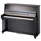 Beale UP115 115cm Upright Piano in Ebony Polish